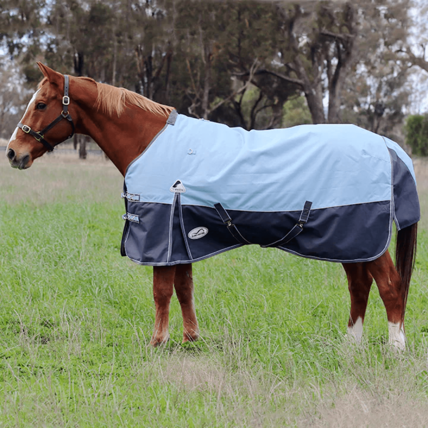 Eurohunter Townsend Rug (1200 Denier/ 100 Gram Fill) - Saddleworld Devonport