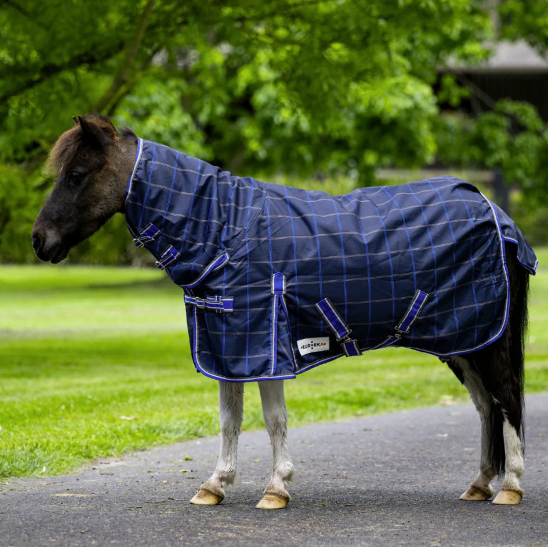 Eureka Miniature Synthetic Summer Combo