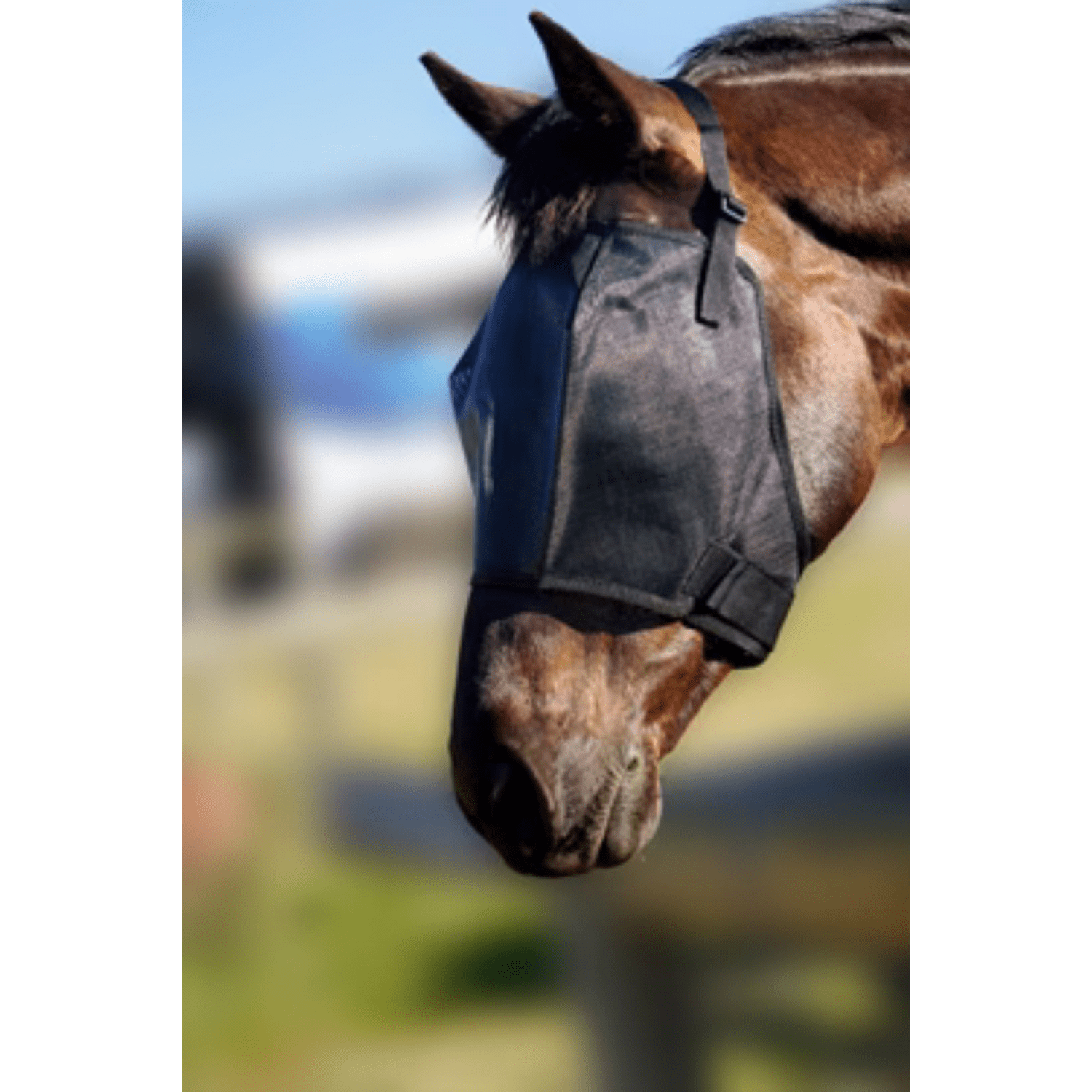 FlyVeils by Design Basic Fly Veil - Saddleworld Devonport