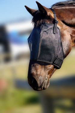 FlyVeils by Design Basic Fly Veil - Saddleworld Devonport