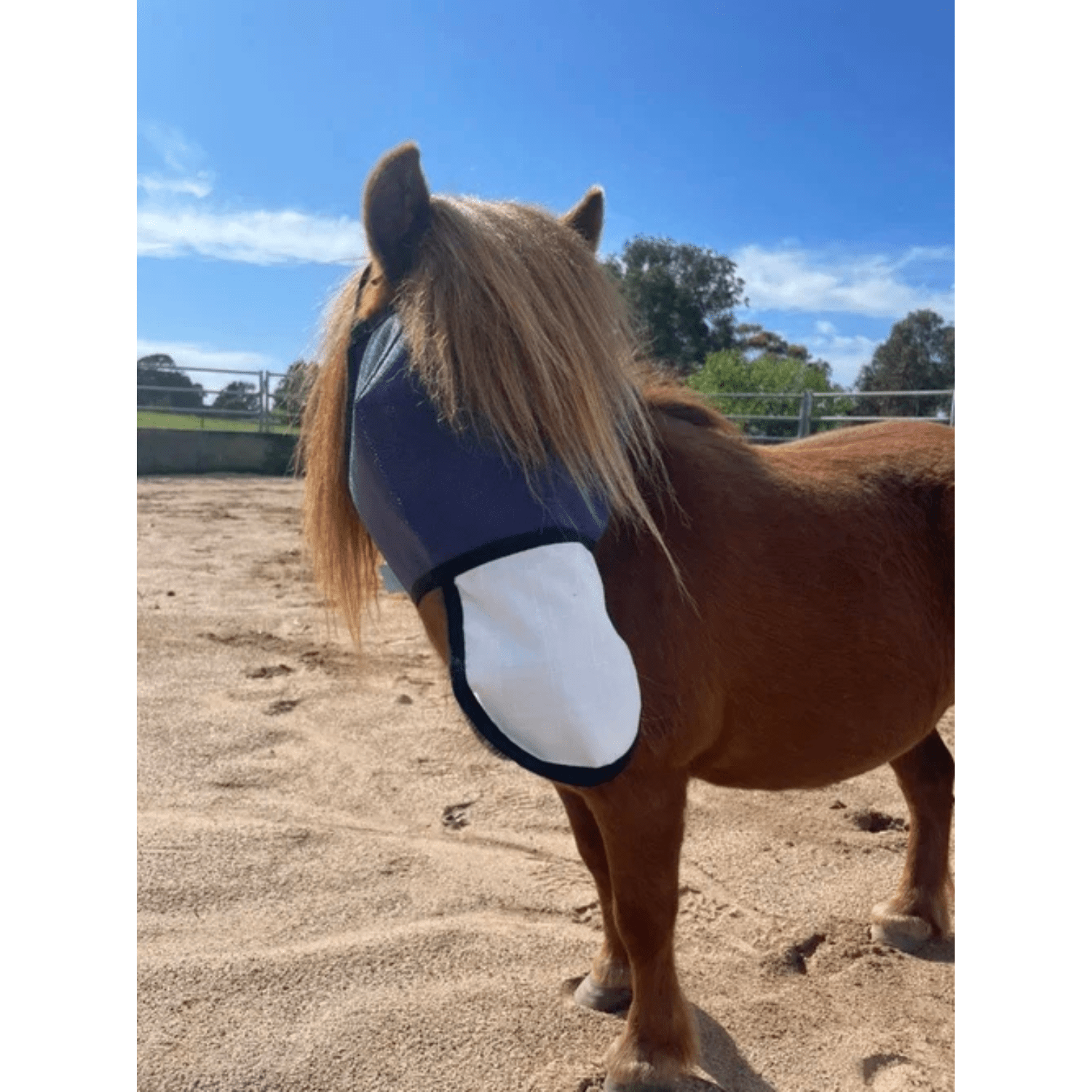 Flyveils by Design Basic Fly Veil with White Nose - Saddleworld Devonport