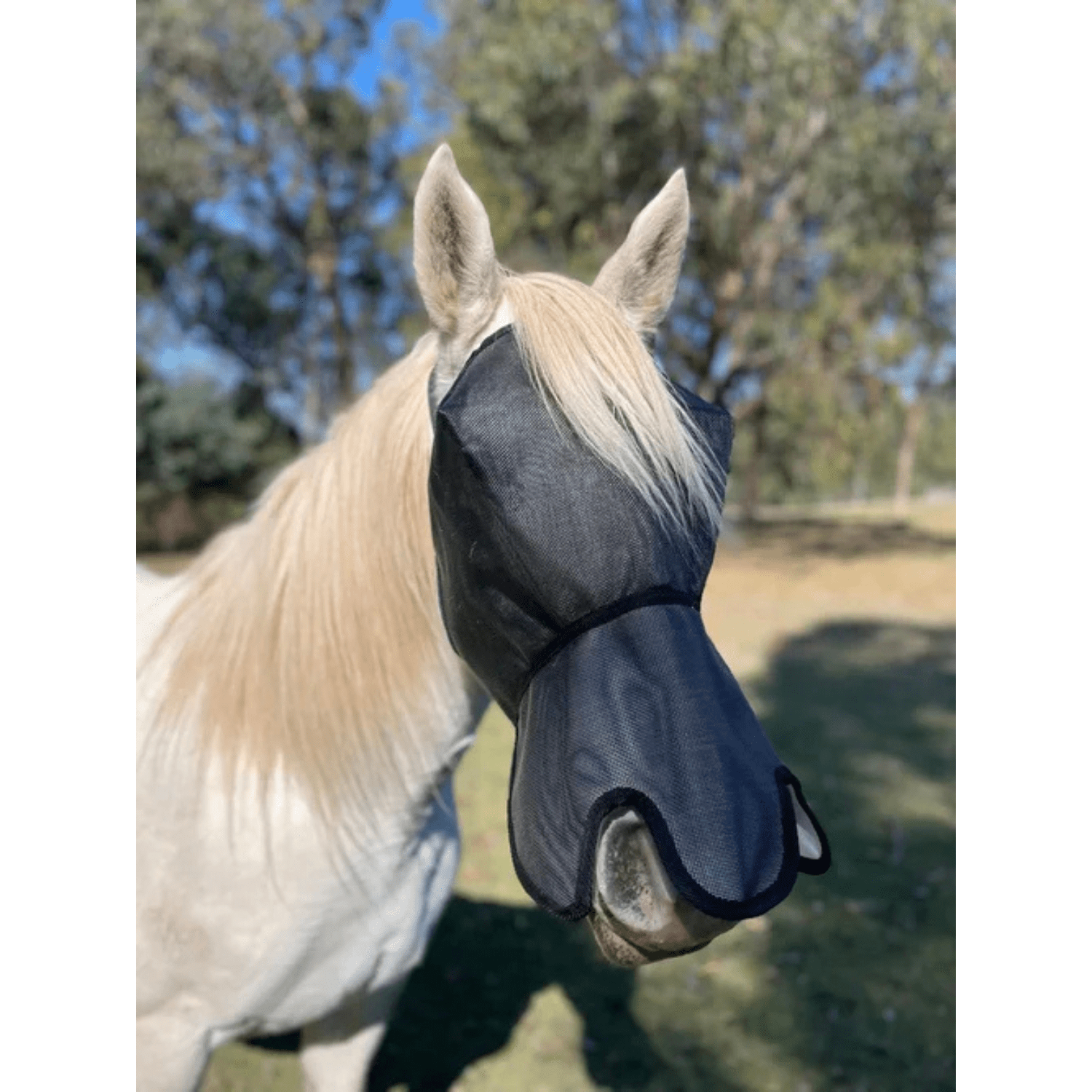 Flyveils by Design Flyveil with 100% Blockout Shaped Nose Cover - Saddleworld Devonport
