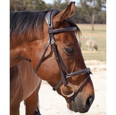 Grainge Anatomical Padded Snaffle Bridle - Saddleworld Devonport