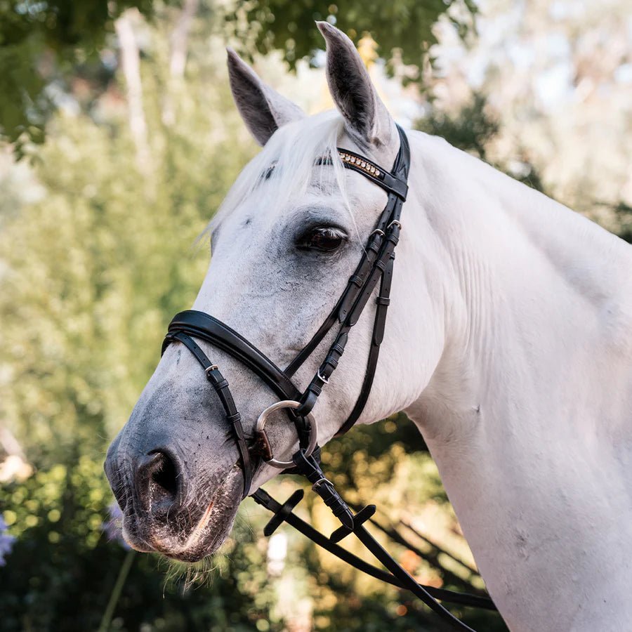 Grainge Dressage Bling Bridle - Saddleworld Devonport