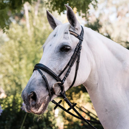 Grainge Dressage Bling Bridle - Saddleworld Devonport