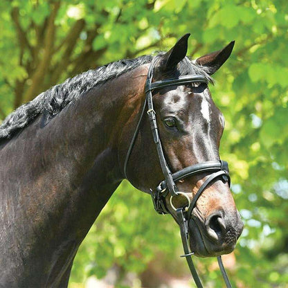Grainge Elite Dressage Snaffle Bridle - Saddleworld Devonport
