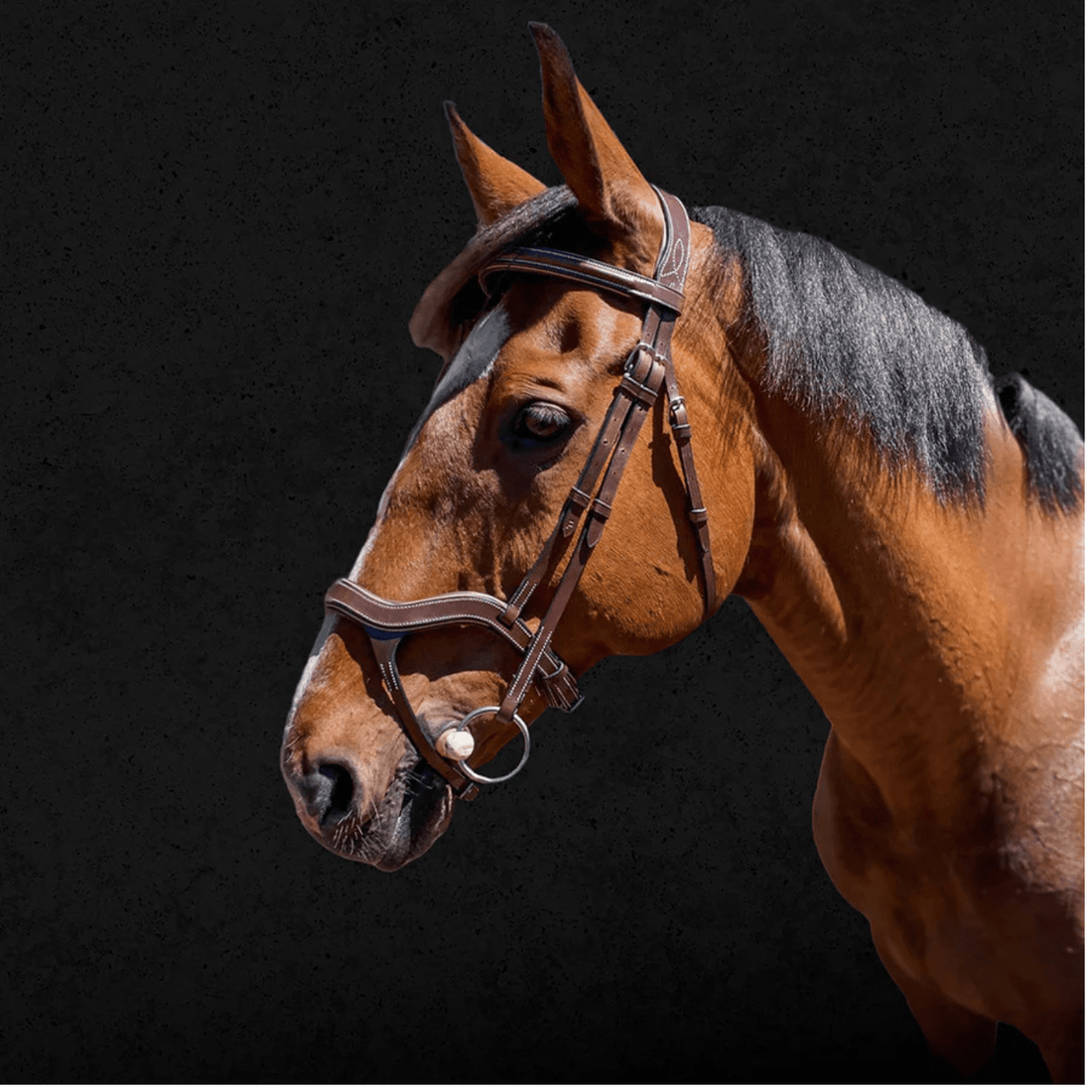 Grainge Elite Eventing Bridle - Saddleworld Devonport