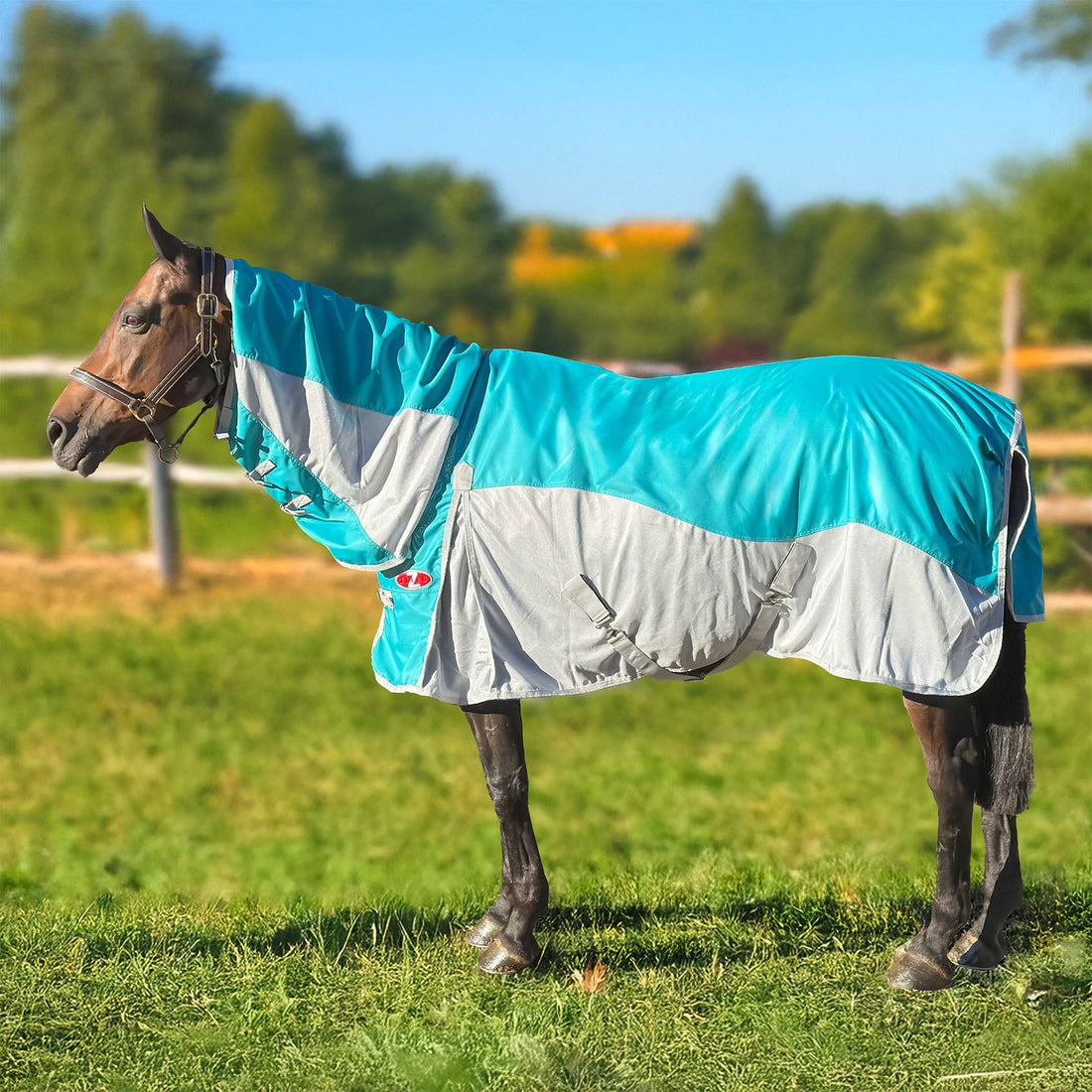 Guardian Hybrid Combo Rug - Saddleworld Devonport