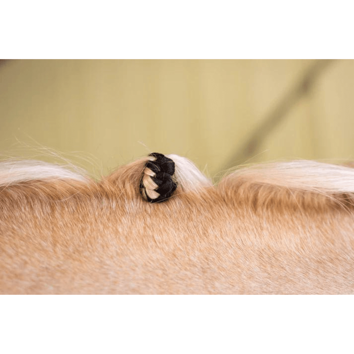 Hairy Pony Fake it Enhancements - Saddleworld Devonport