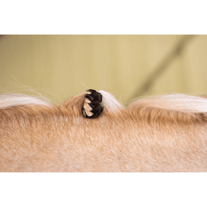 Hairy Pony Fake it Enhancements - Saddleworld Devonport