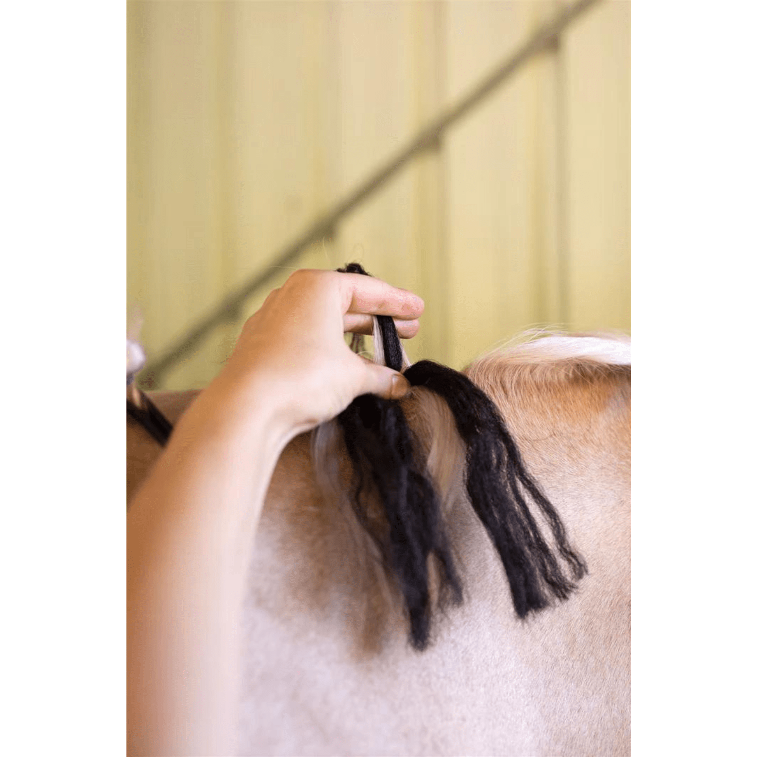 Hairy Pony Fake it Enhancements - Saddleworld Devonport