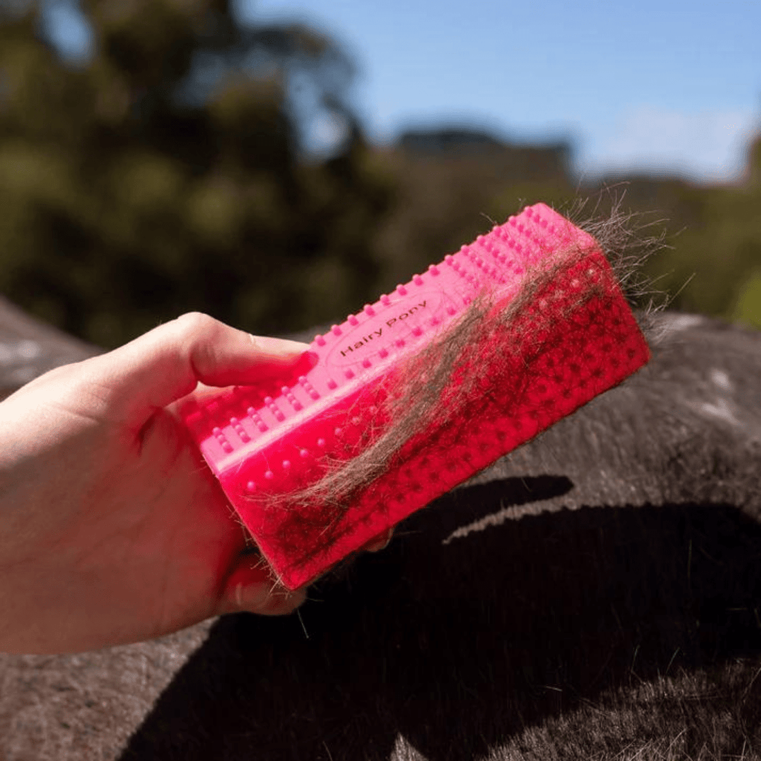 Hairy Pony Grooming Block - Saddleworld Devonport