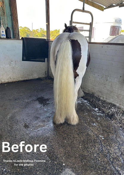 Hairy Pony Purple Hair Repair - Macadamia, Elderflower &amp; Jojoba - Saddleworld Devonport