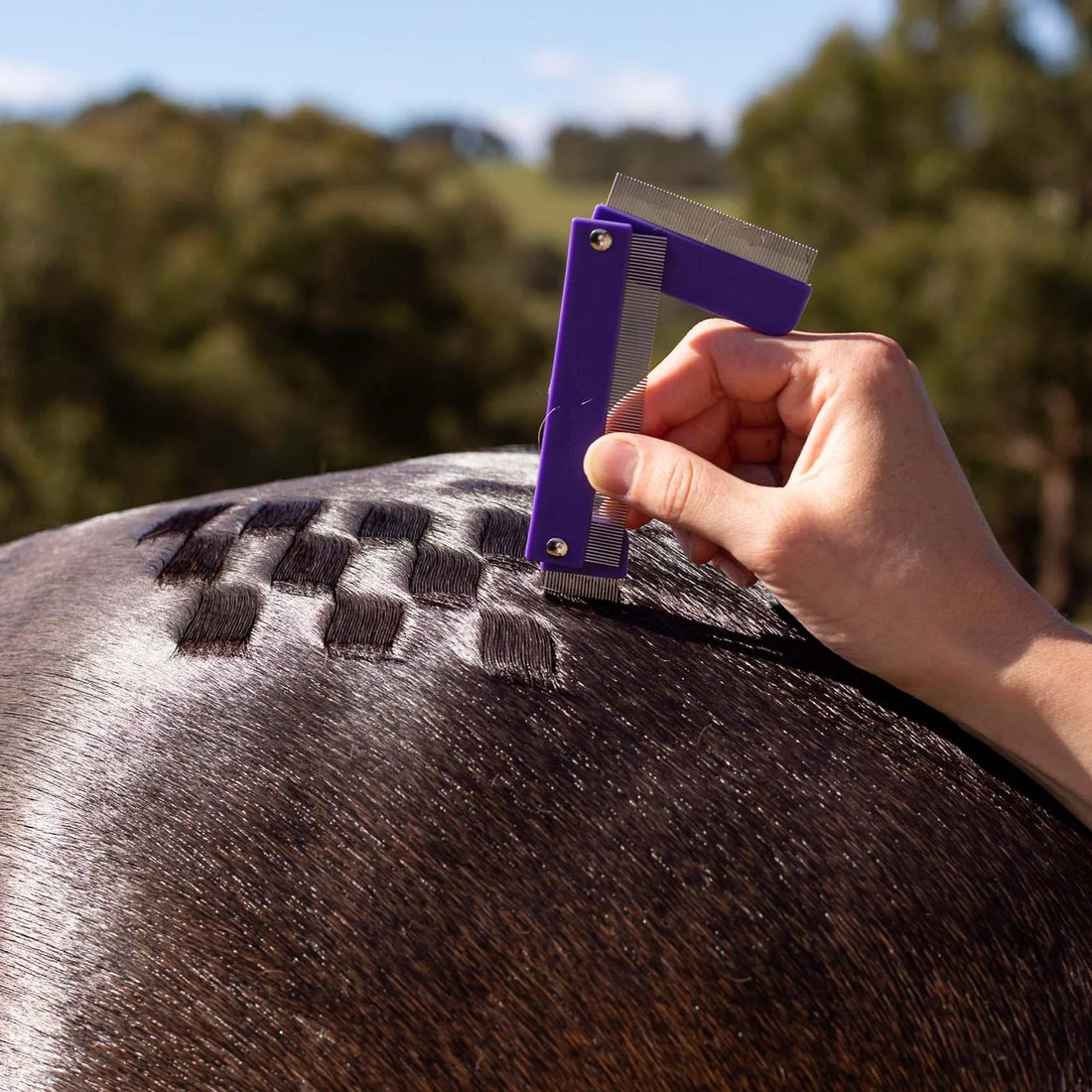 Hairy Pony Quarter Mark Horse Comb - Saddleworld Devonport