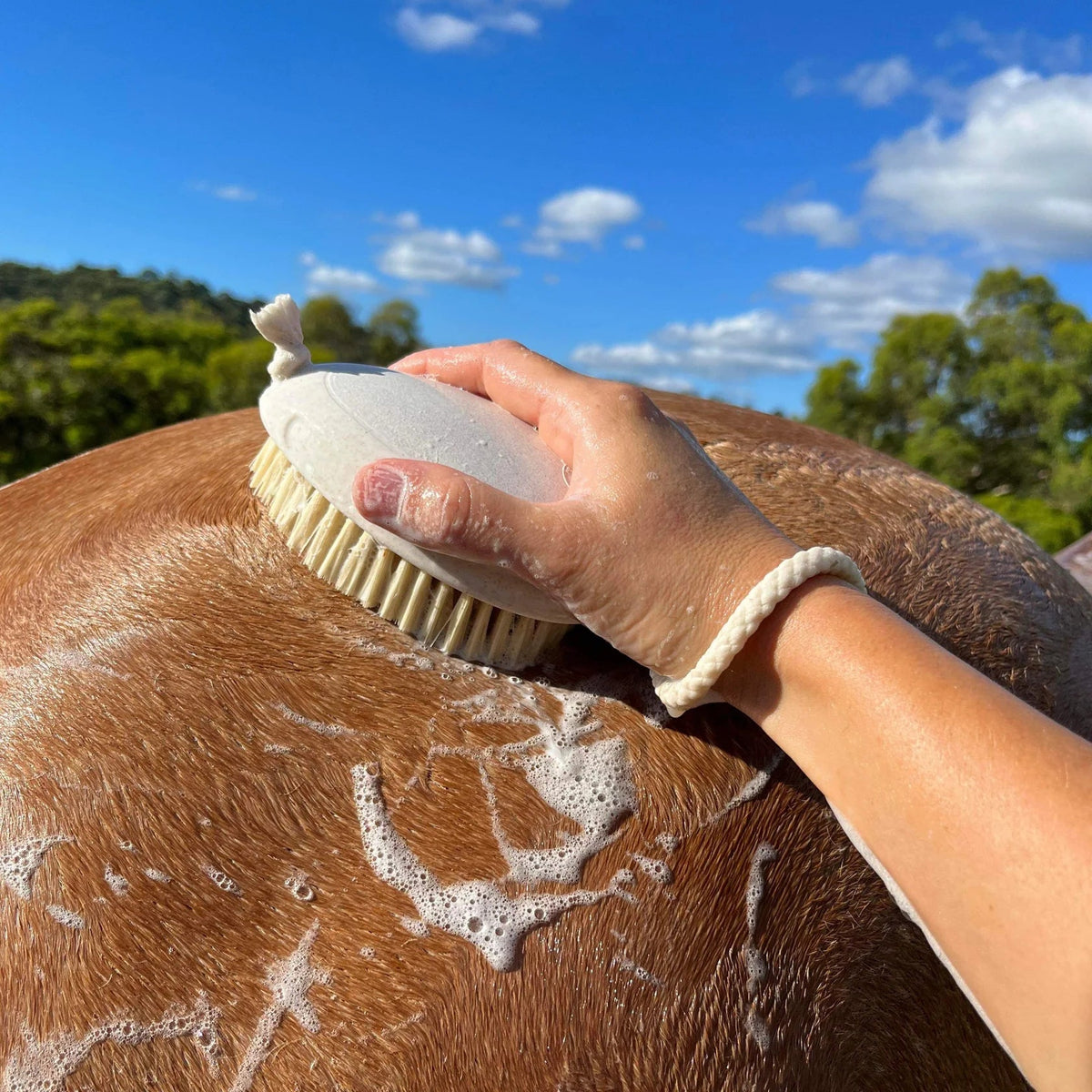 Hairy Pony Wash Bay Brush - Saddleworld Devonport