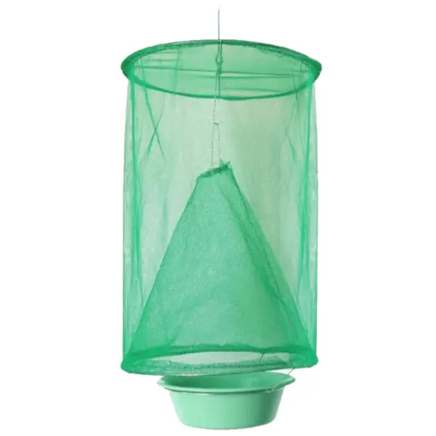 Hanging Fly Trap - Saddleworld Devonport