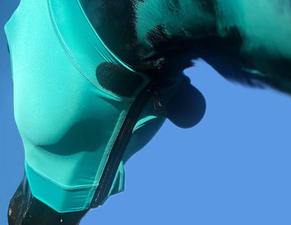 Hidez Equine Compression Hood With Ears And Zip - Saddleworld Devonport