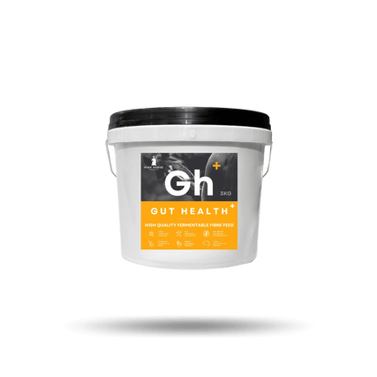 High Horse Gut Health Plus - Saddleworld Devonport