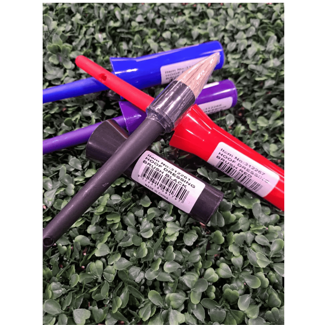Hoof Dressing Brush With Lid - Saddleworld Devonport