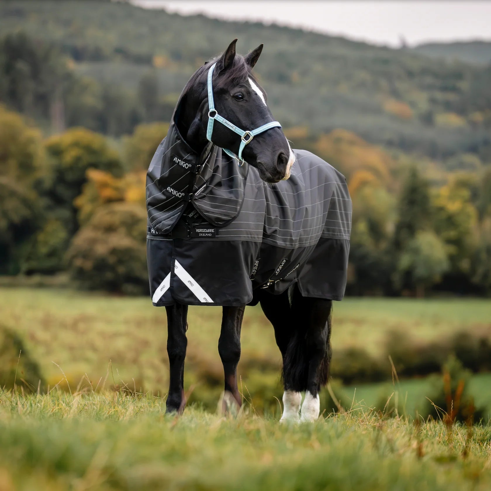 Horseware Ireland Amigo 1200D DiscFront Reflectech Plus Turnout 0g - Saddleworld Devonport