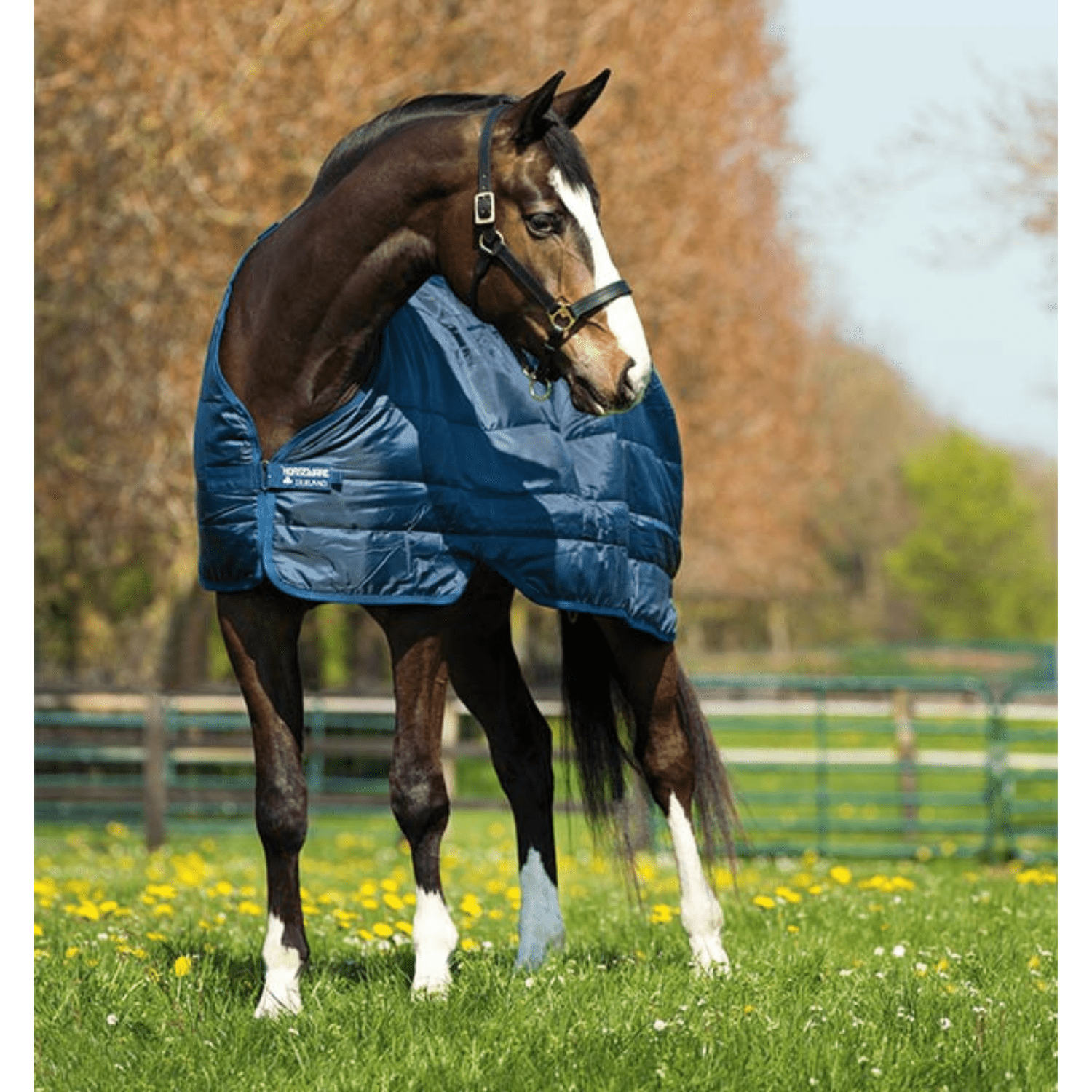Horseware Liner 100g - Saddleworld Devonport