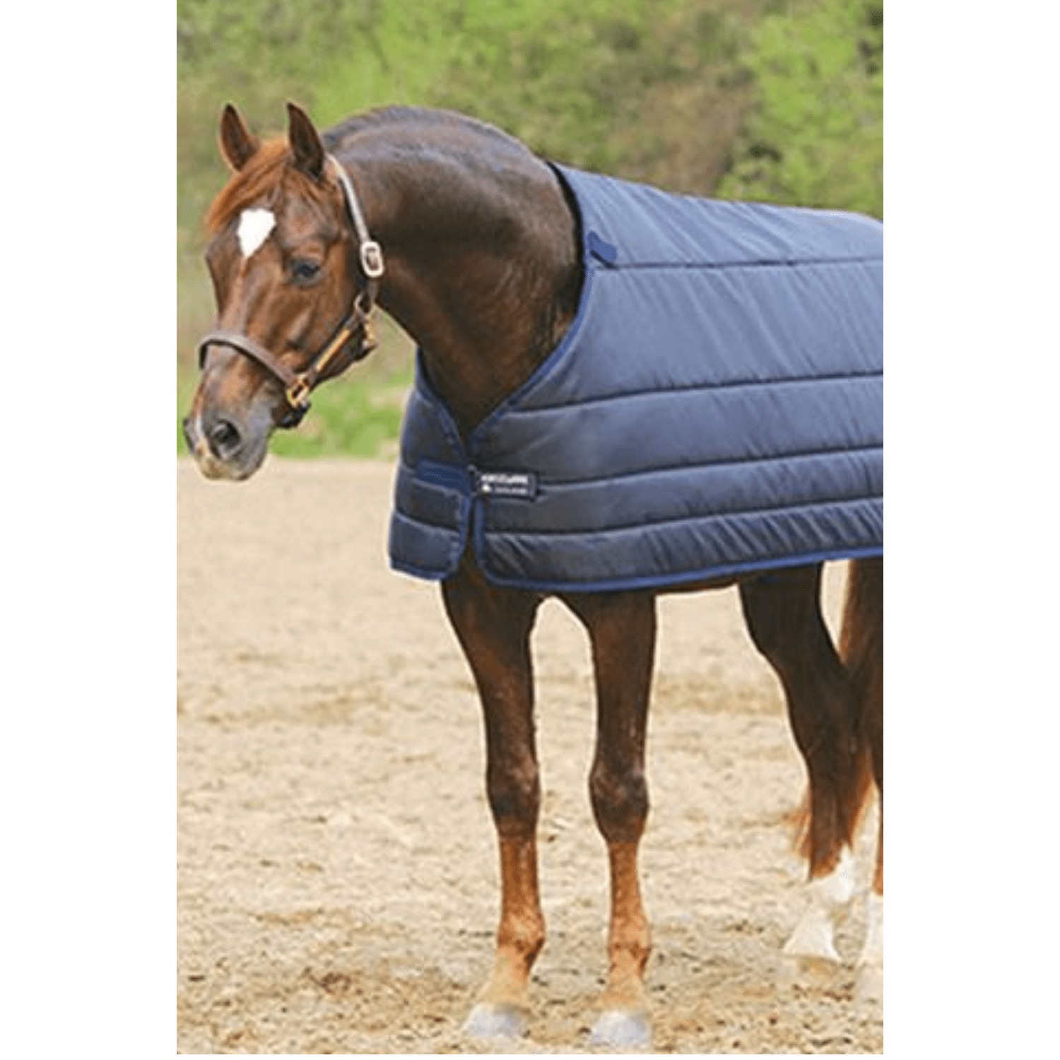 Horseware Liner 300g - Saddleworld Devonport