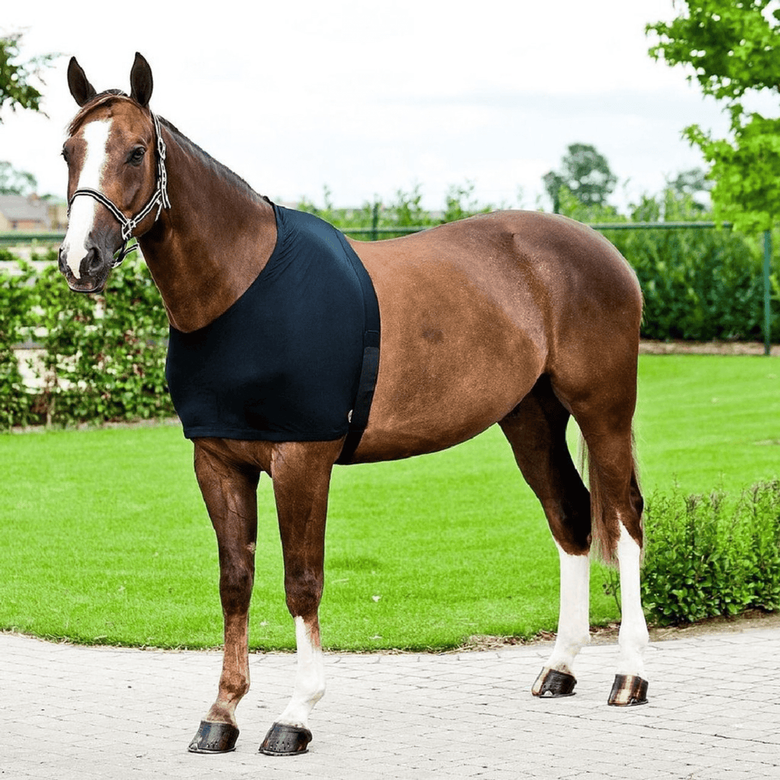 Horze Comforce Shoulder Rug - Saddleworld Devonport