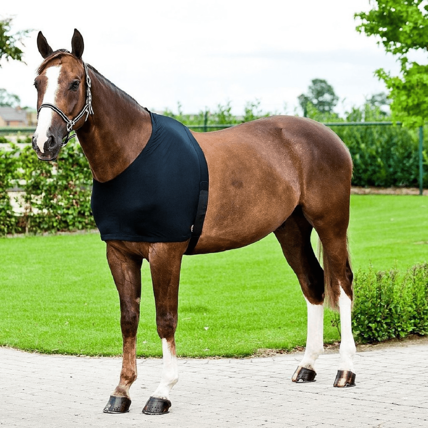Horze Comforce Shoulder Rug - Saddleworld Devonport