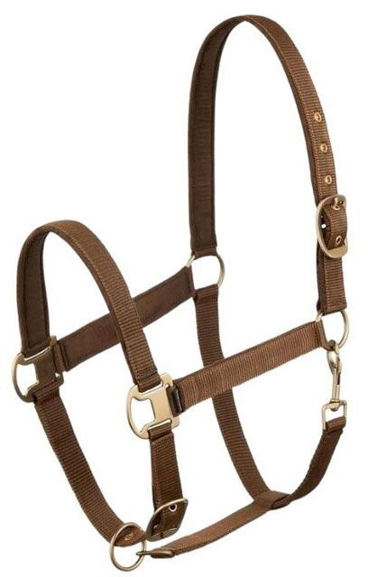 Horze Houston Halter - Saddleworld Devonport