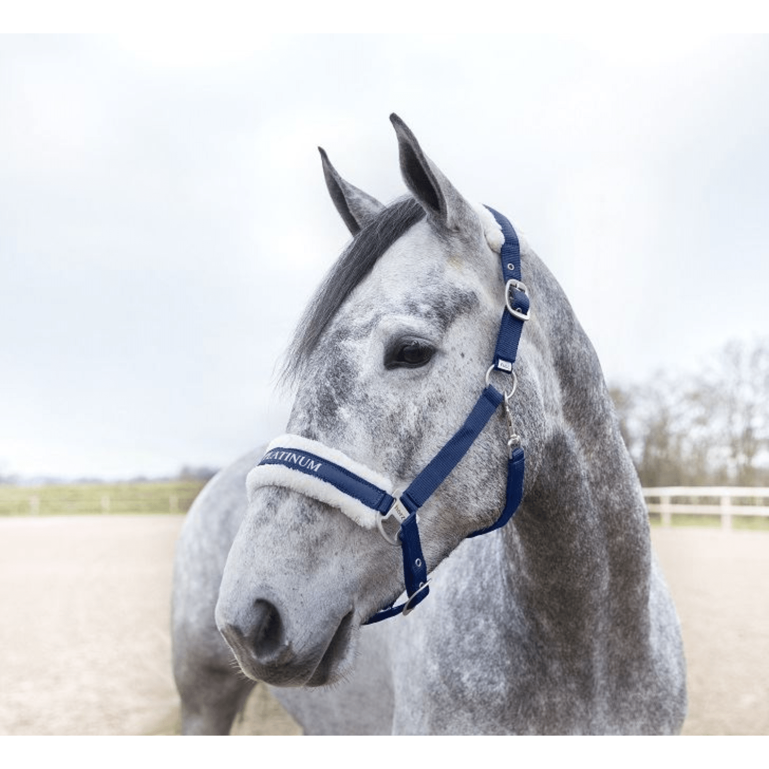 Horze Howard Halter - Saddleworld Devonport