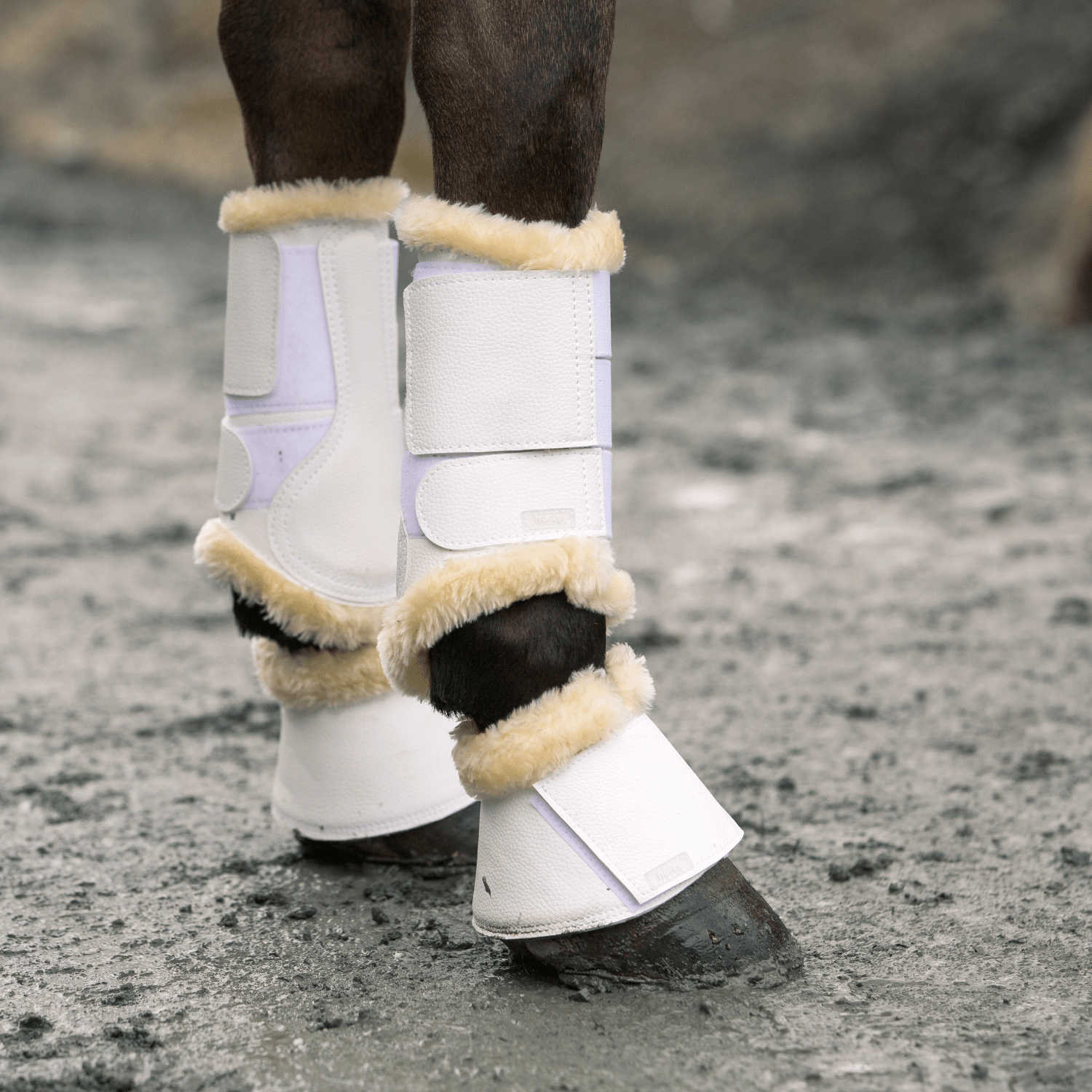 Horze Signature Bell Boots - Saddleworld Devonport