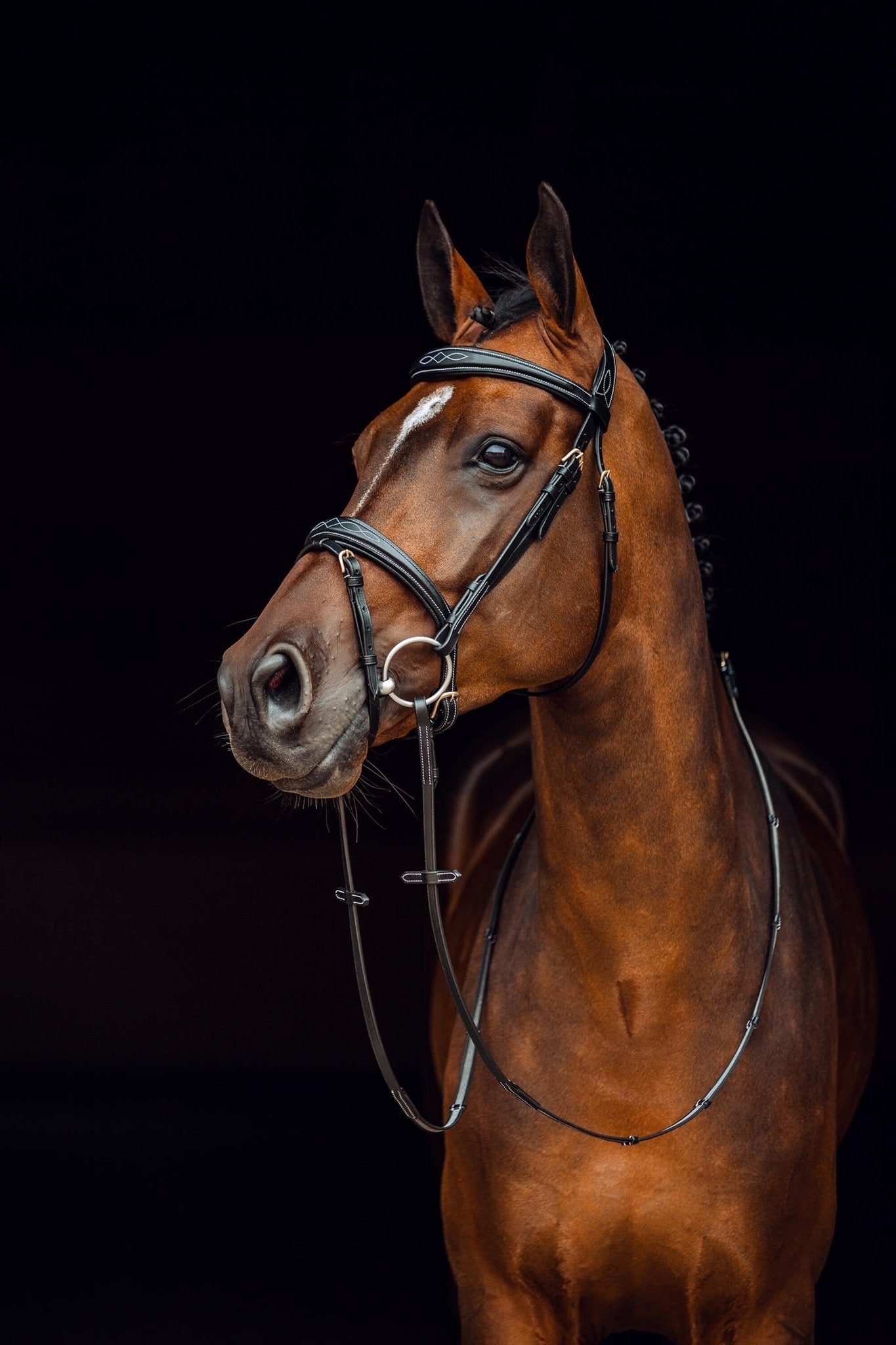 Horze Sion Bridle with Reins - Saddleworld Devonport