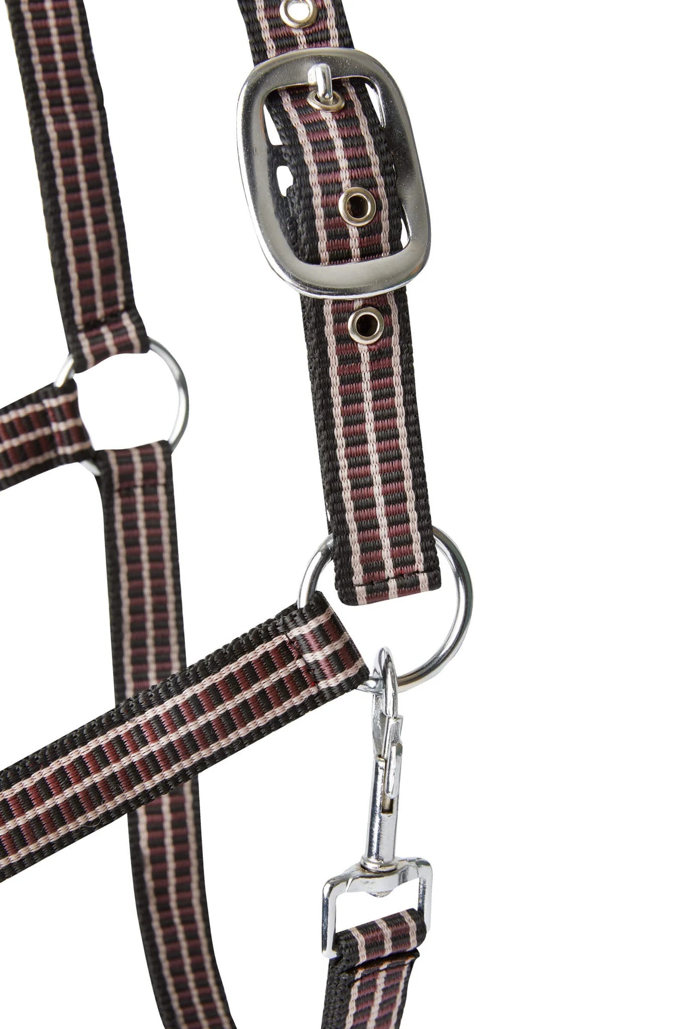 Horze Sudbury Halter - Saddleworld Devonport