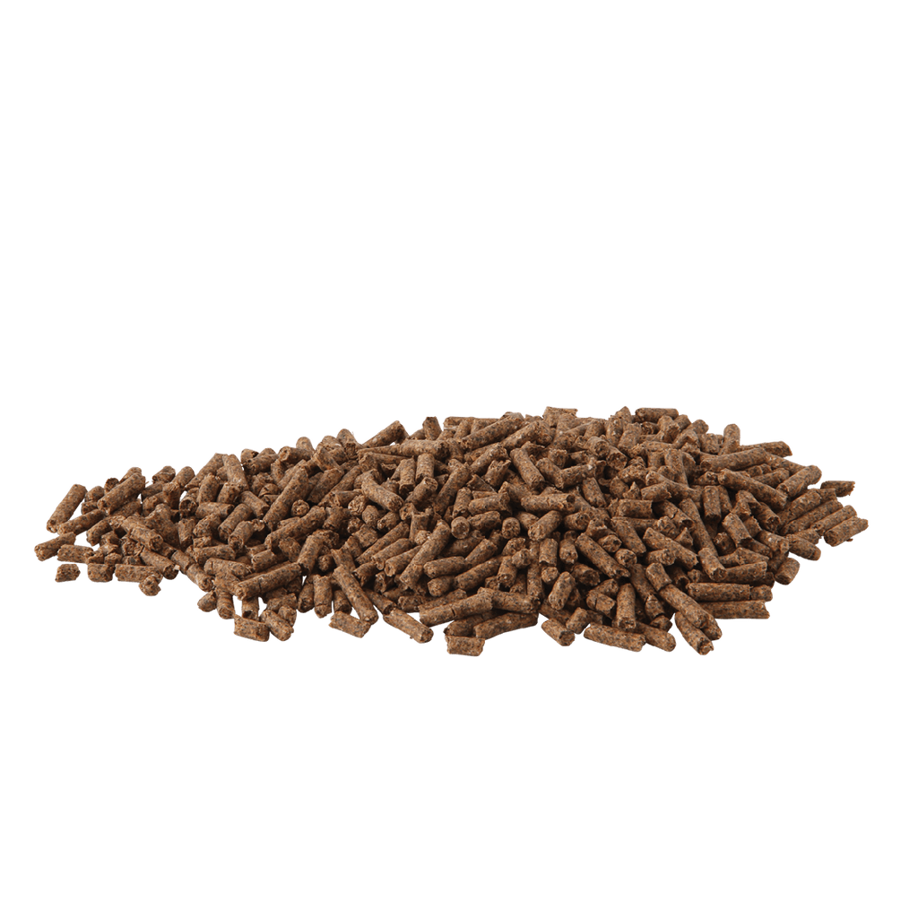Hygain Balanced 20KG - Saddleworld Devonport