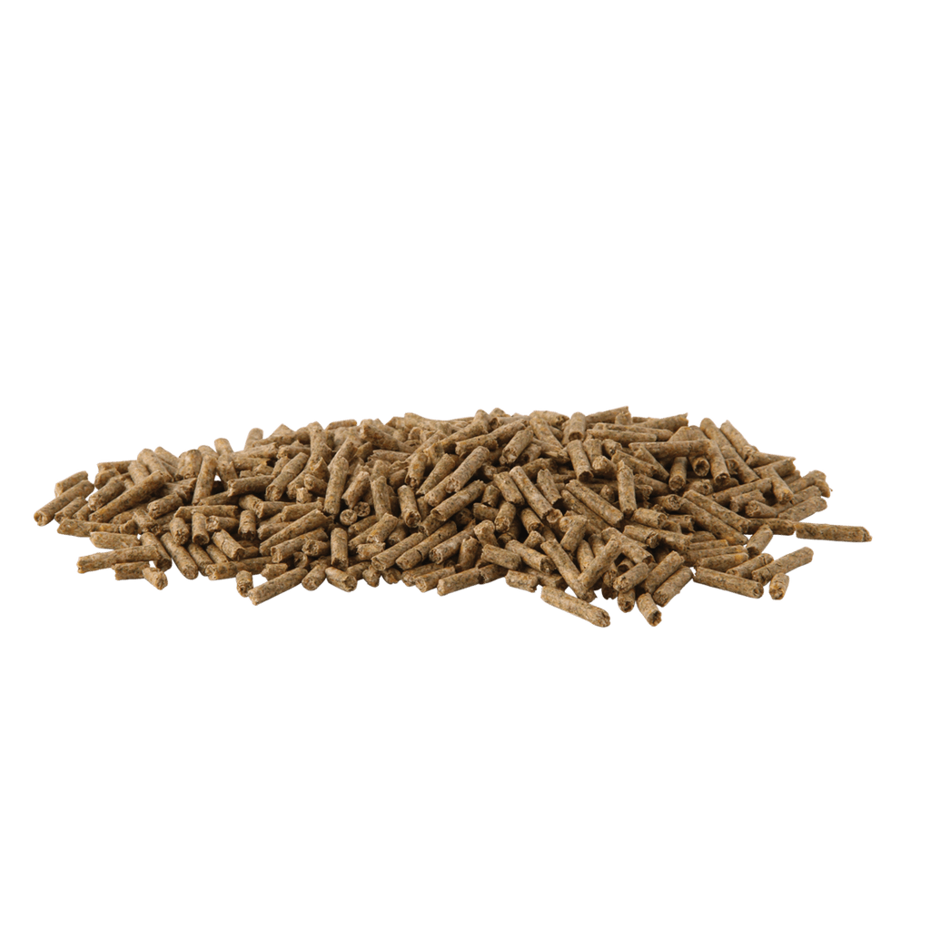 HyGain Ice 20kg - Saddleworld Devonport