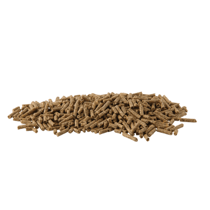 HyGain Ice 20kg - Saddleworld Devonport
