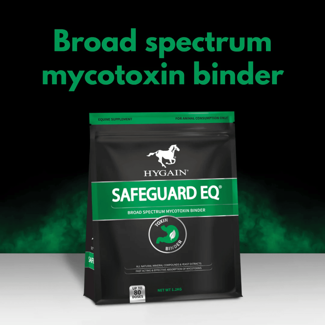 Hygain Safeguard - Saddleworld Devonport