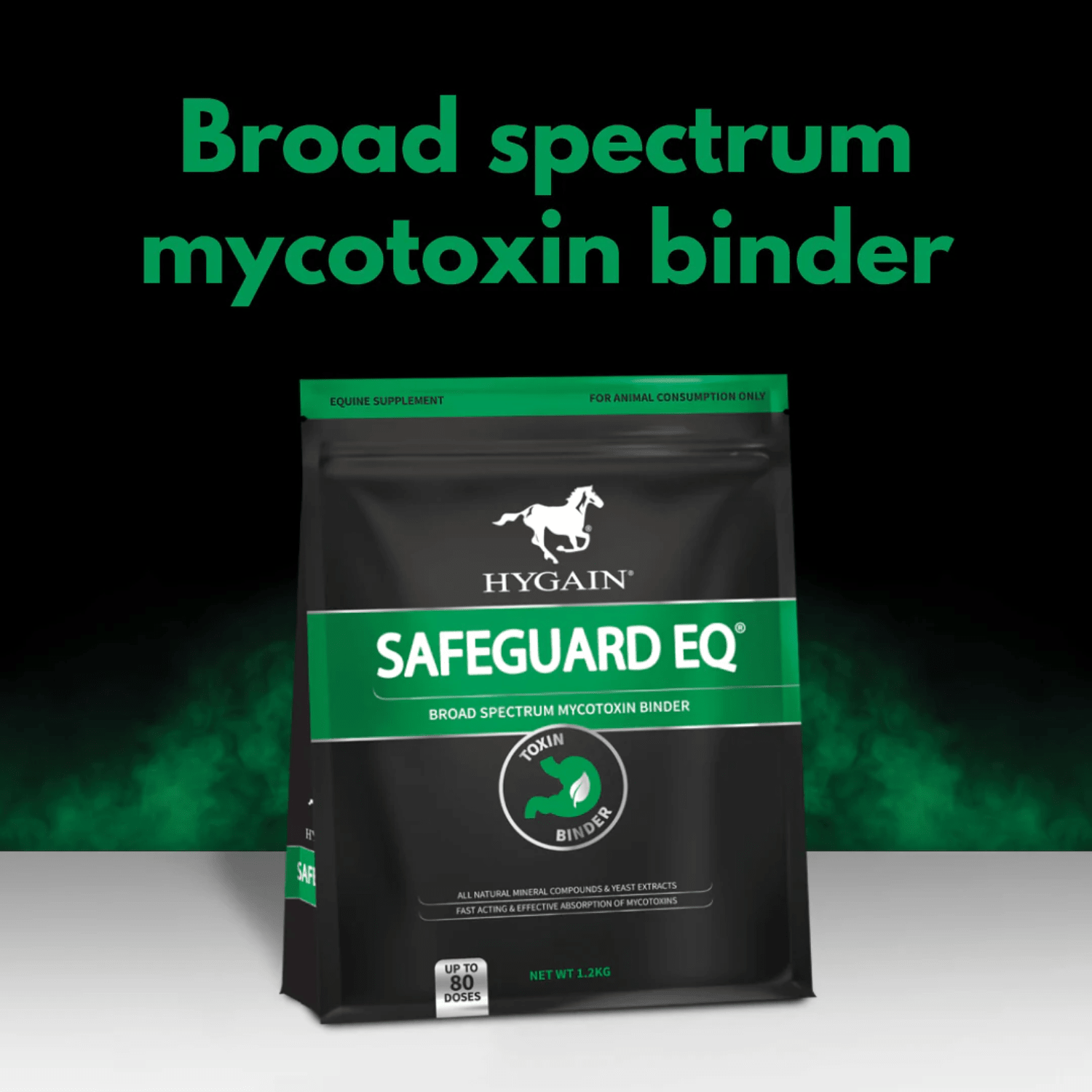 Hygain Safeguard - Saddleworld Devonport