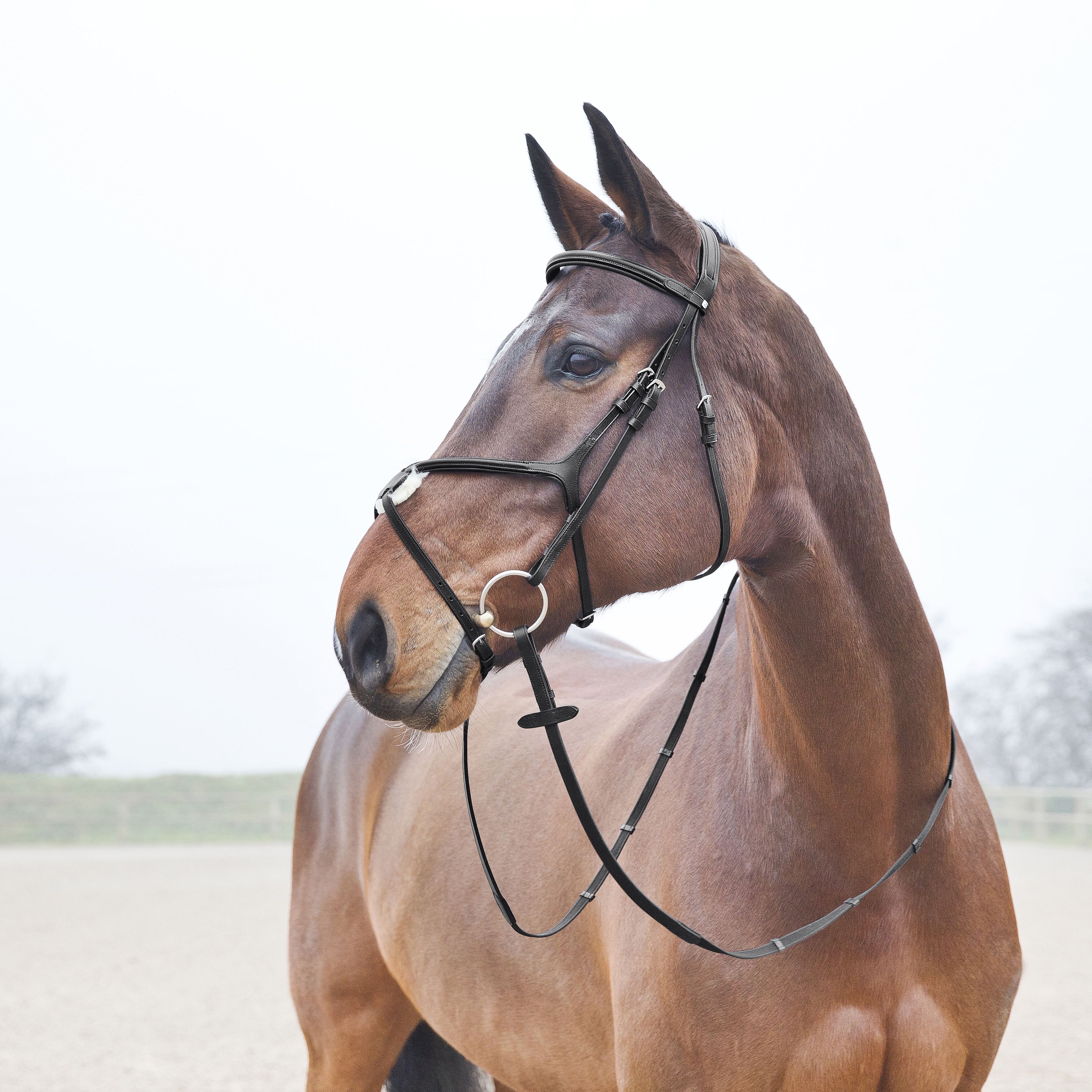 Horze Prescott Figure 8 Bridle