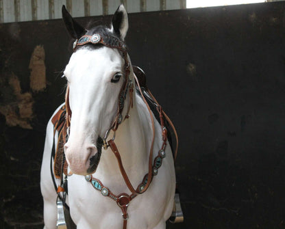 Navaho Zebra Western Bridle With Reins