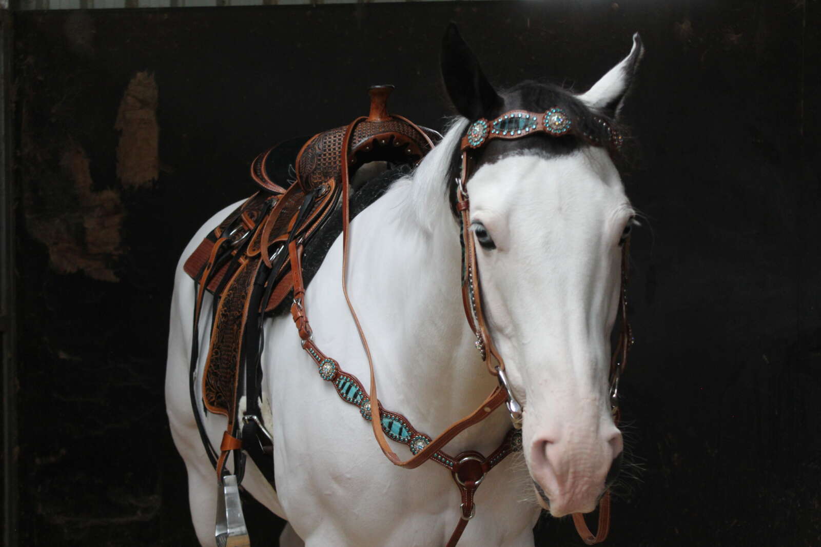 Navaho Zebra Western Bridle With Reins