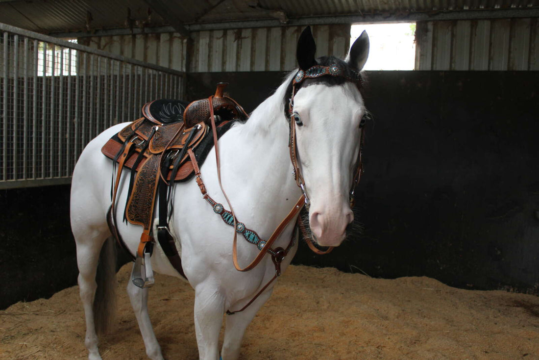 Navaho Zebra Western Bridle With Reins