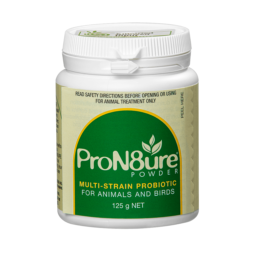 International Animal Health Pron8ture Powder - Saddleworld Devonport