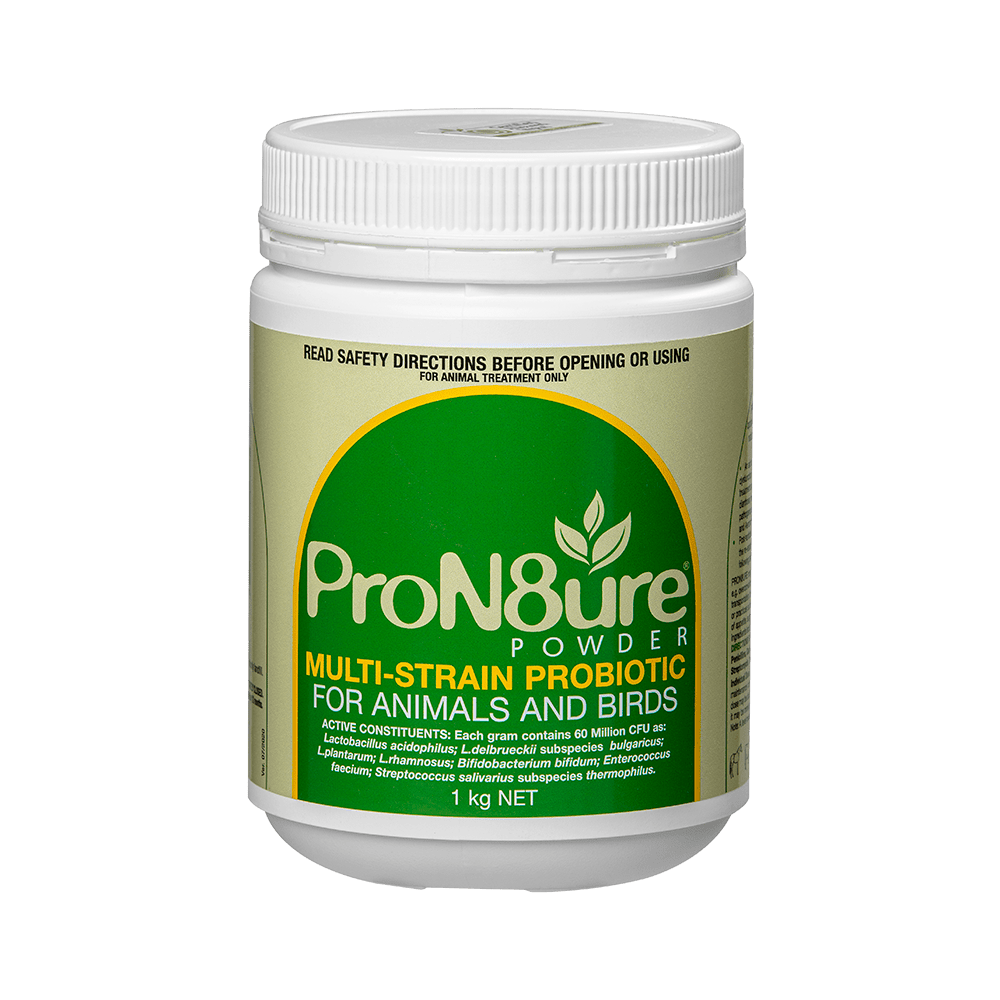 International Animal Health Pron8ture Powder - Saddleworld Devonport