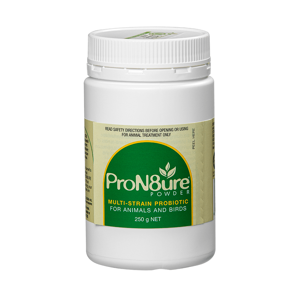 International Animal Health Pron8ture Powder - Saddleworld Devonport