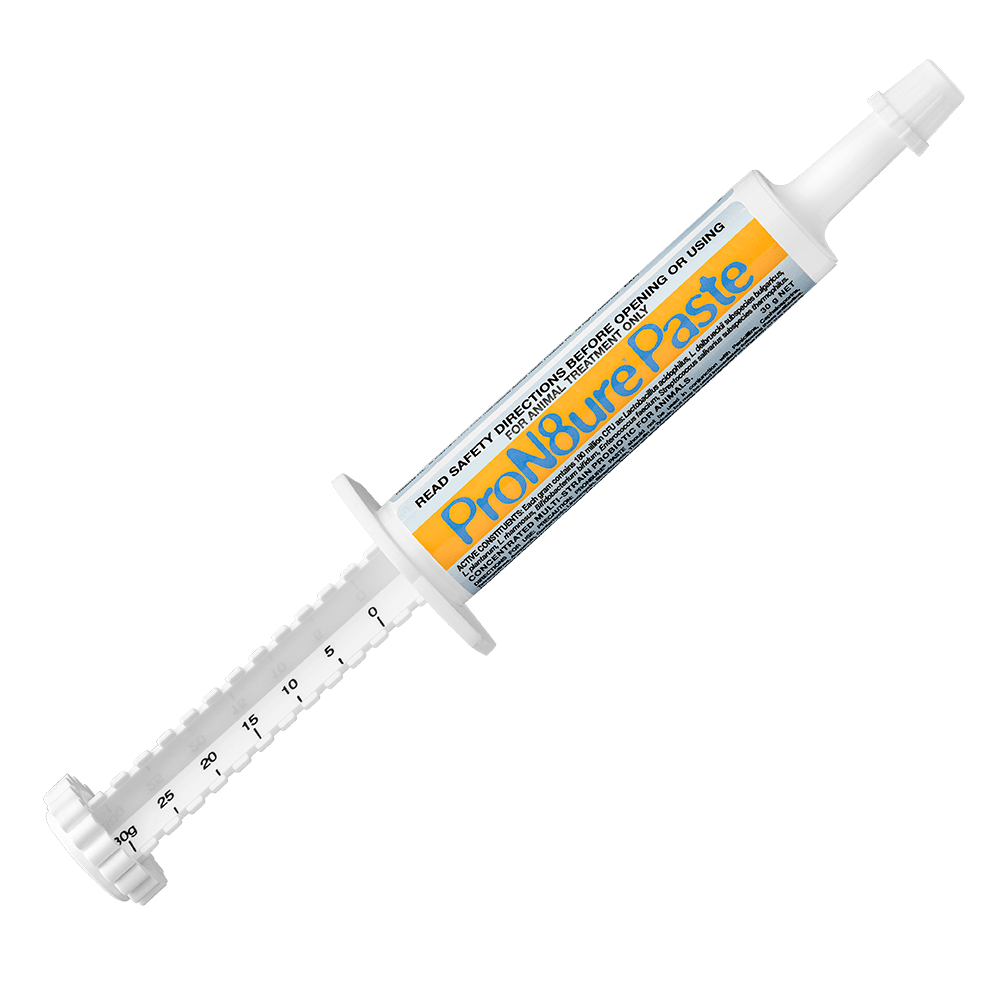 International Animal Health Pron8ture (Protexin) Paste 30g - Saddleworld Devonport