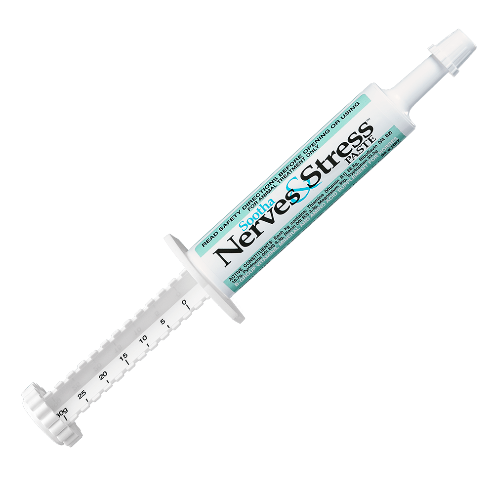 International Animal Health Sootha Nerves &amp; Stress? Paste 30g - Saddleworld Devonport