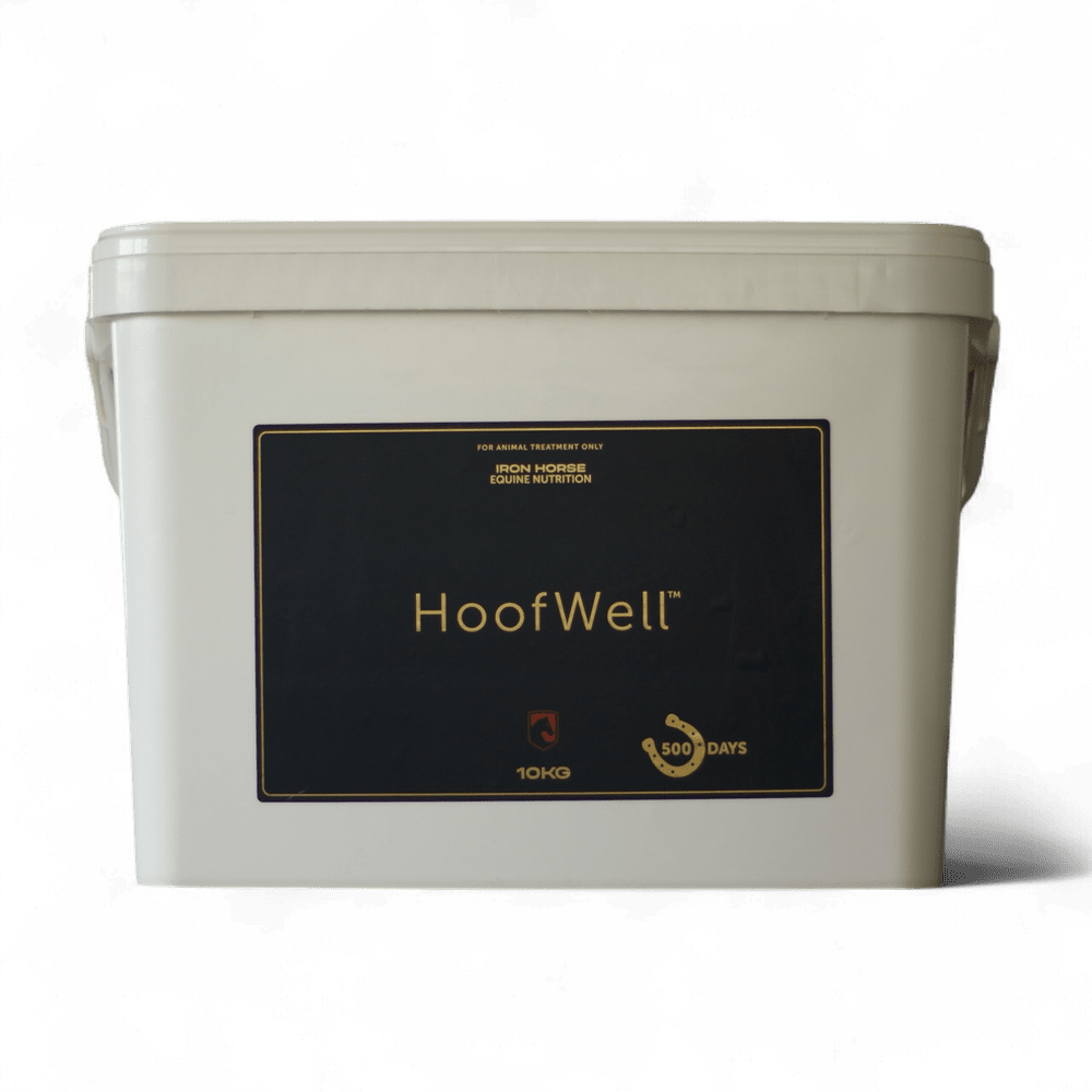 Iron Horse Equine Hoofwell - Saddleworld Devonport