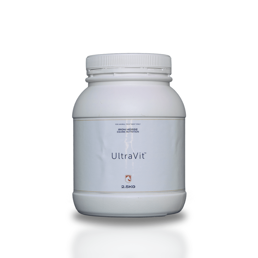 Iron Horse Ultravit - Saddleworld Devonport
