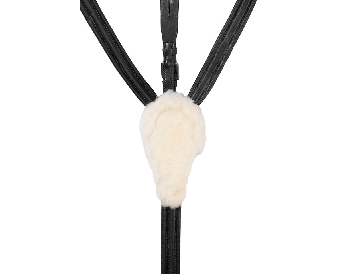 Jeremy &amp; Lord Five Point Breastplate - Saddleworld Devonport